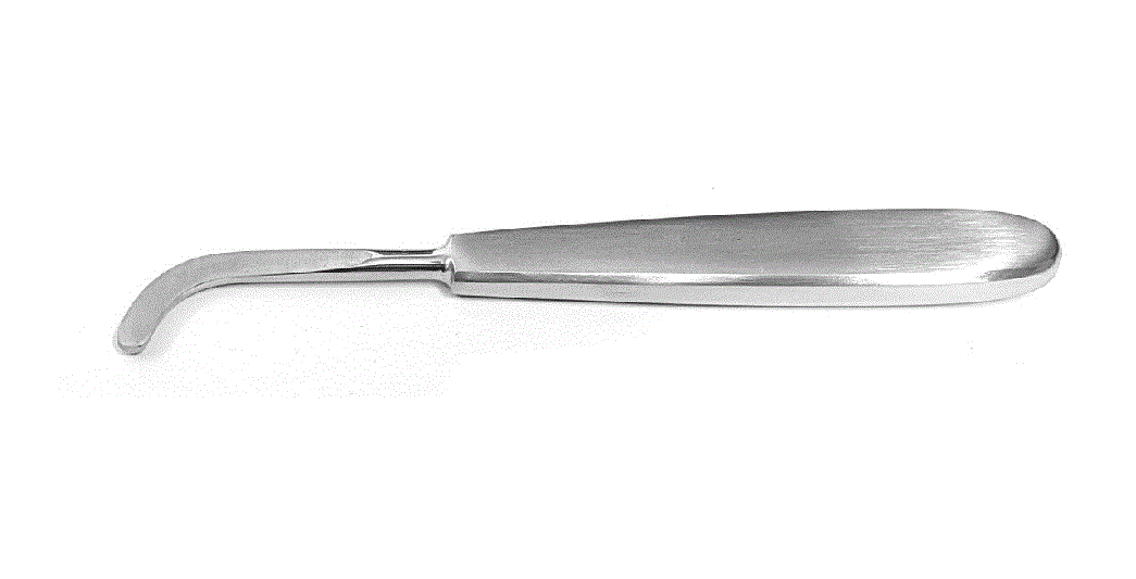 Cleft Palate Raspatory, 14cm