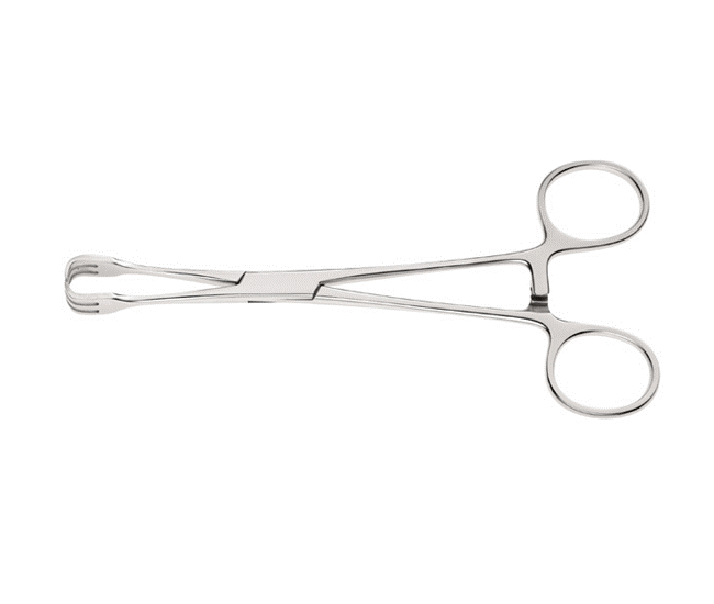Lahey Traction Forceps, 16cm