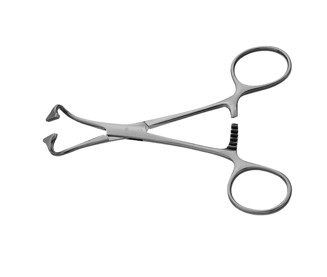 Non-Perforating Towel Clamp Forceps